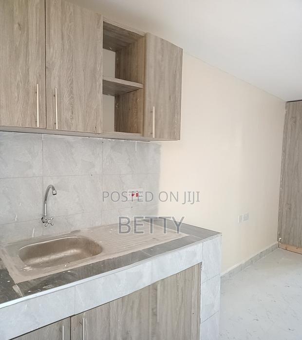 1bdrm Bedsitter in Ruaka for rent - thumbnail 4