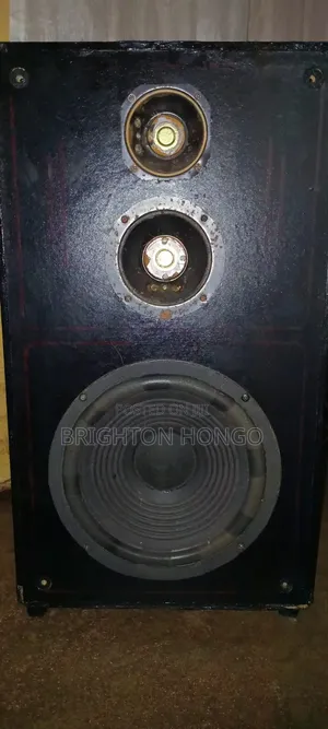 Bass Speaker