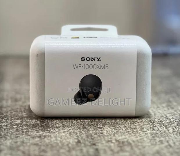 Sony Xm5 Buds - main view