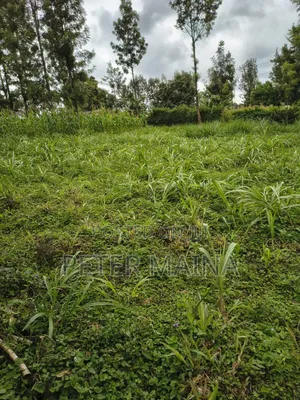 Plot for Sale 40 by 110 Located in Gachie
