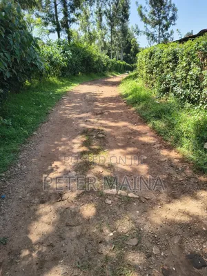 Plot for Sale 40 by 110 Located in Gachie