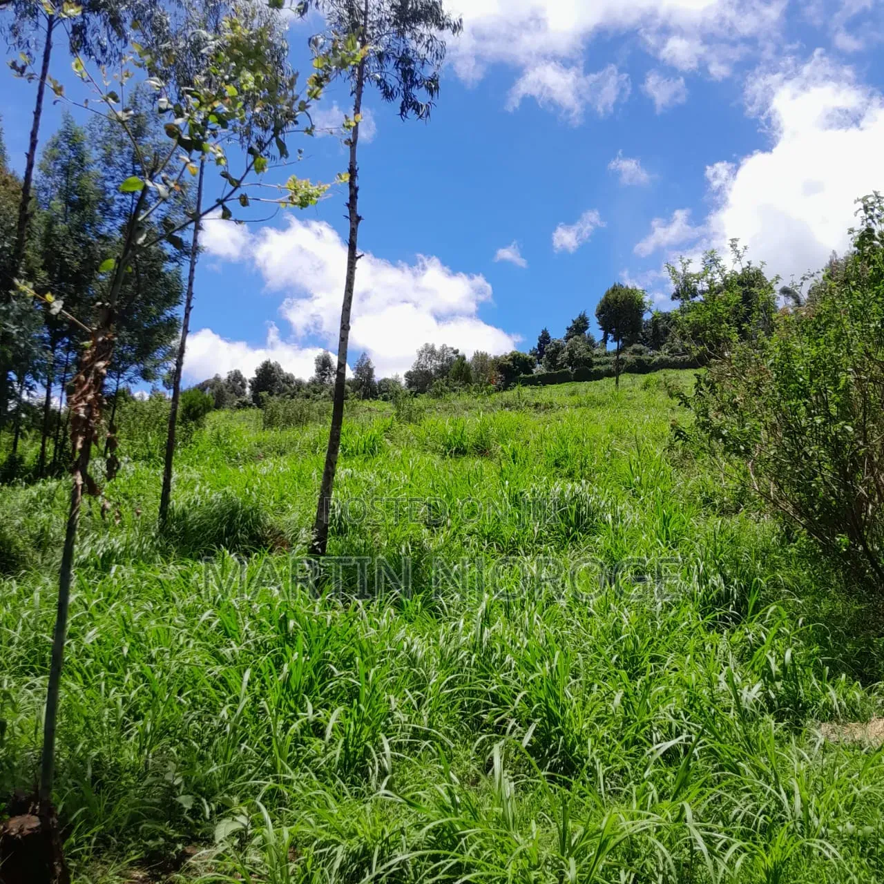 30 Acres Nyamamithi, Lower Subukia