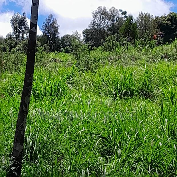 30 Acres Nyamamithi, Lower Subukia - thumbnail 2
