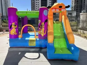 2 in 1 Bouncing Castle