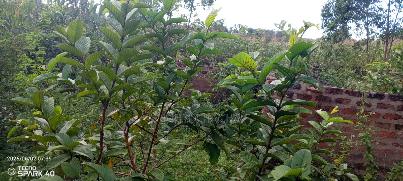 Plot for Sale