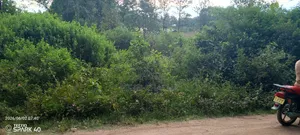 Plot for Sale