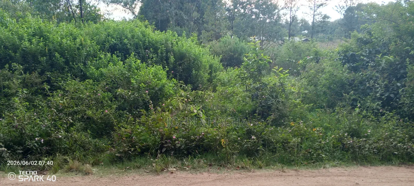 Plot for Sale