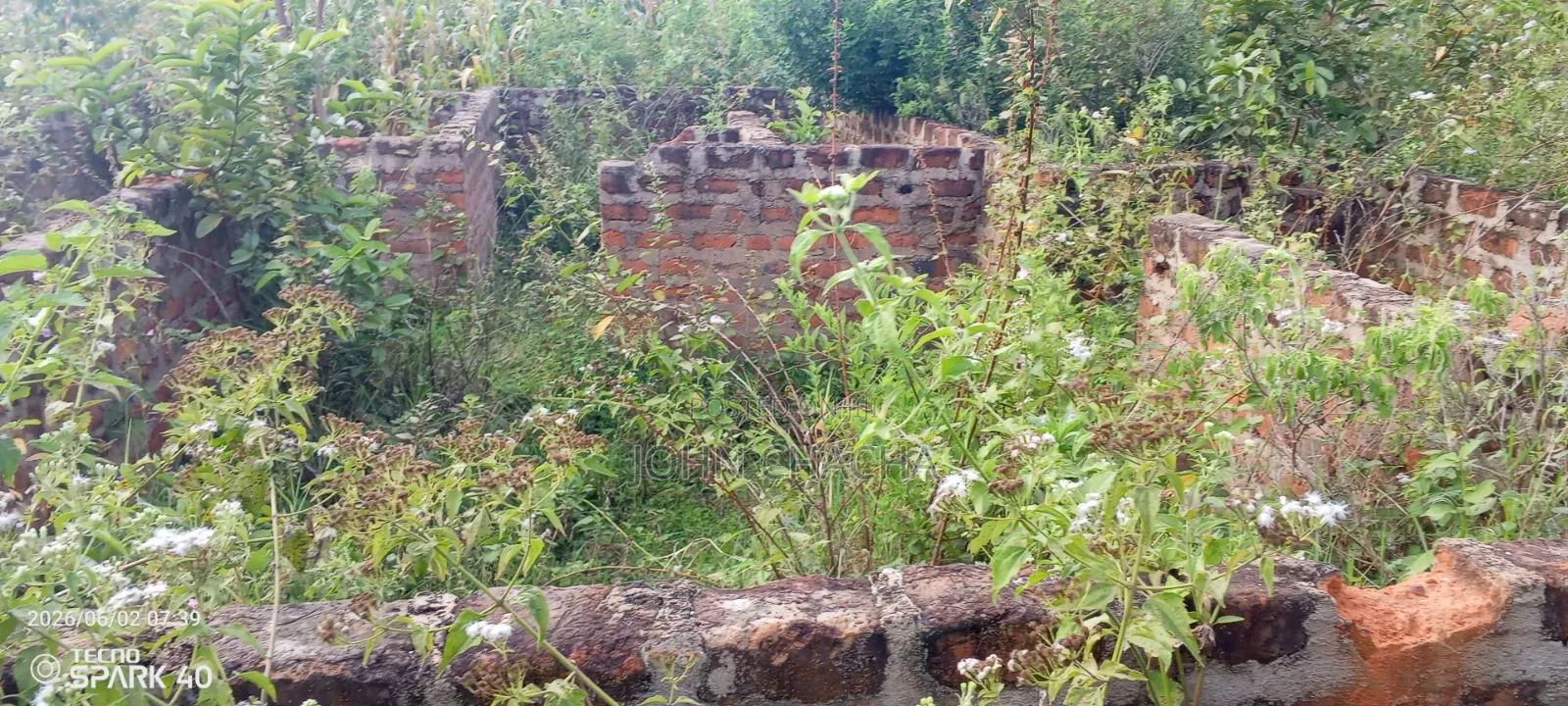 Plot for Sale