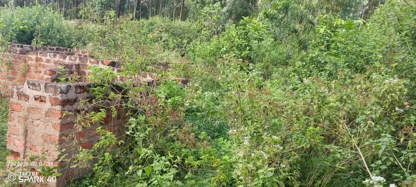 Plot for Sale