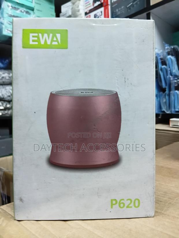 The Ewa P620 Is a Portable Rechargeable Bluetooth Speaker.