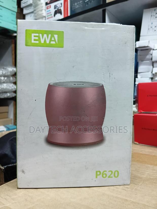 The Ewa P620 Is a Portable Rechargeable Bluetooth Speaker. - thumbnail 2