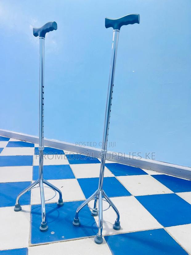 Tripod Walking Stick