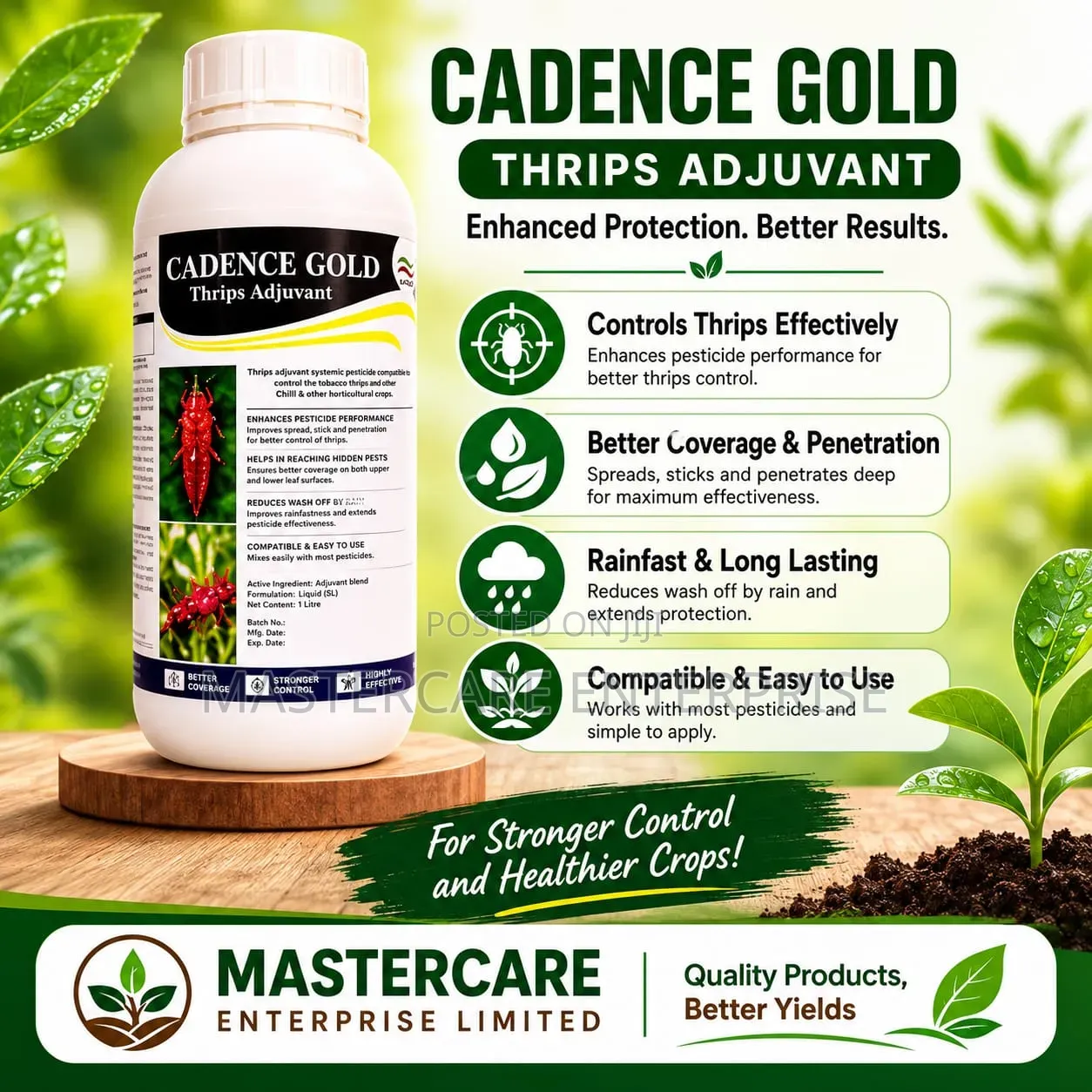 Cadance Gold 1 Litre