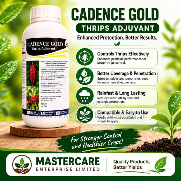 Cadance Gold 1 Litre