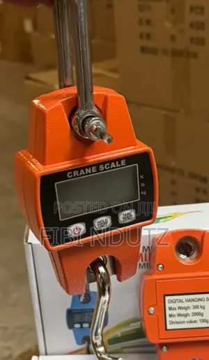 Heavy Weight Digital Crane Scale 300kg/Heavy Crane Scale