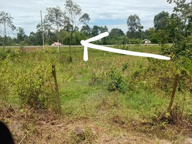 Land for Sale - thumbnail 2