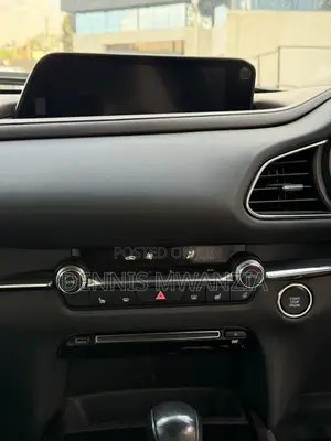 Mazda CX-30 2019 Gray