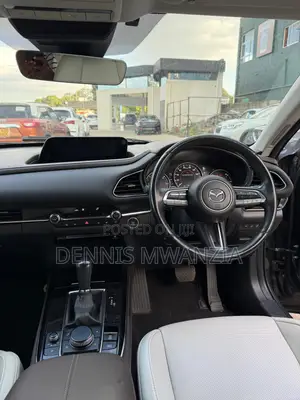 Mazda CX-30 2019 Gray