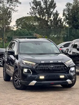 Toyota RAV4 Adventure 2019 Gray