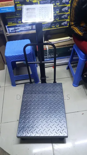 300kg Big Base Digital Platform Weighing Scale