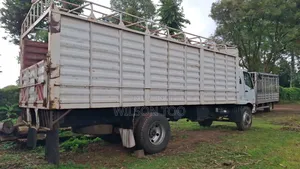 Mitsubishi Lorry Double Diff