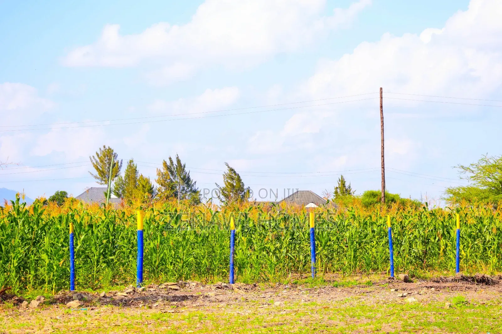 Joska-Mutalia Residential Plots Fj 1