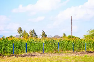 Joska-Mutalia Residential Plots Fj 1