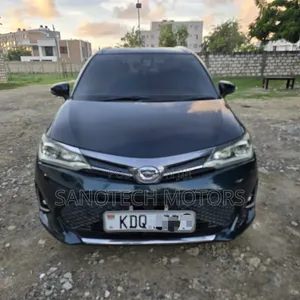 Toyota Corolla Fielder 2017 Black