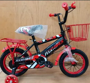 Bike Size 16 With Short Rear Mud Guard