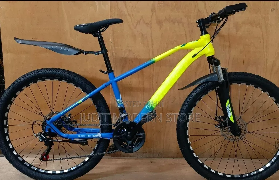 Bike Size 24