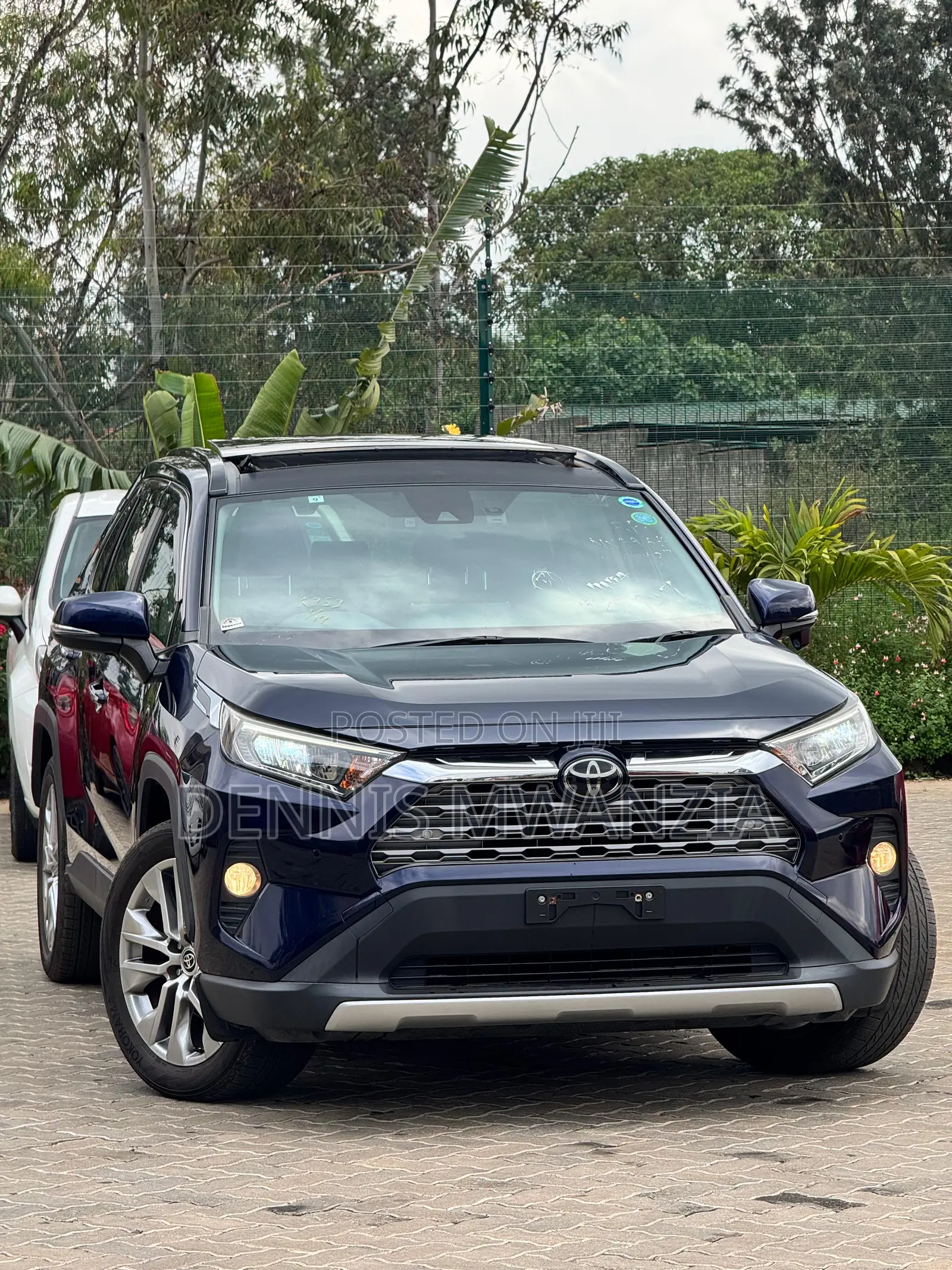 Toyota RAV4 2019 Blue