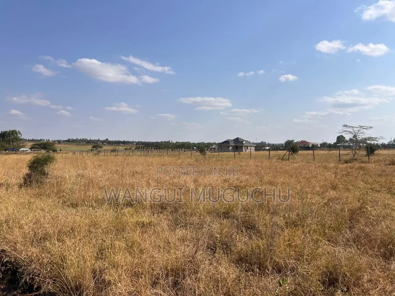 Kisaju - 1/8 Acre- 50 by 100