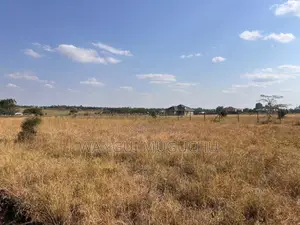 Kisaju - 1/8 Acre- 50 by 100