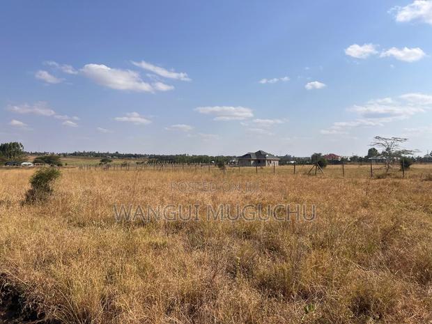 Kisaju - 1/8 Acre- 50 by 100 - thumbnail 2