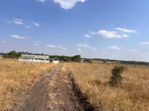 Kisaju - 1/8 Acre- 50 by 100