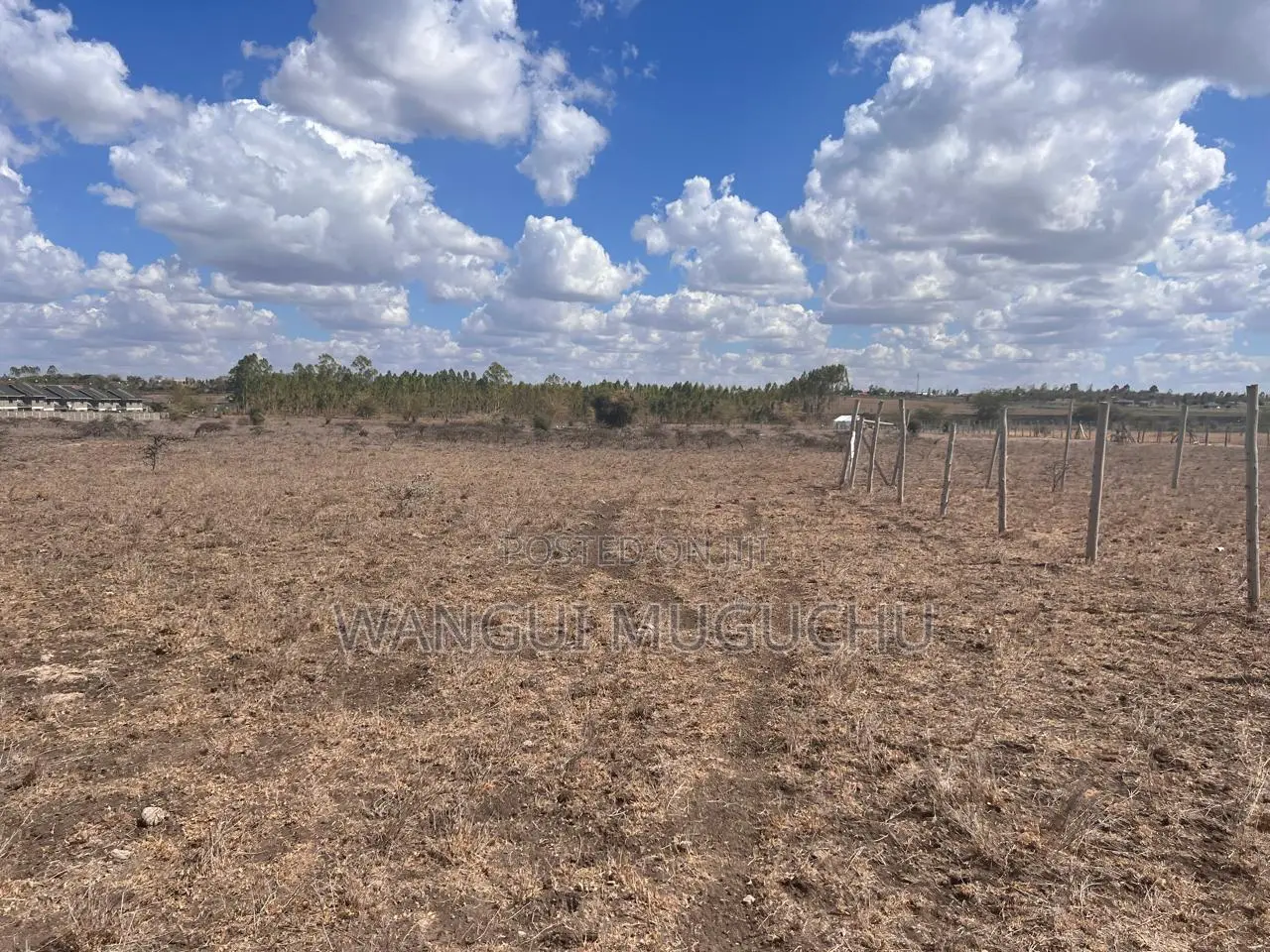 Kisaju - 1/8 Acre- 50 by 100