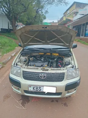 Toyota Succeed 2009 Gold