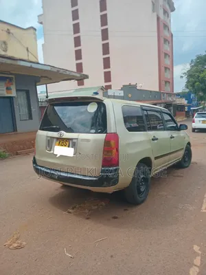 Toyota Succeed 2009 Gold