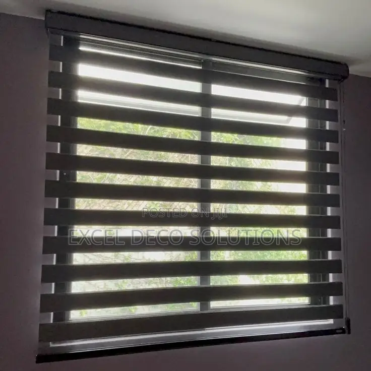 Zebra Window Blinds – Double Layer Window Coverings for Every Space