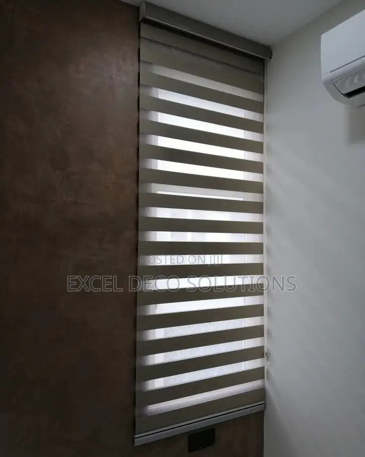 Zebra Window Blinds Premium Double Layer Blinds for Homes and Offices