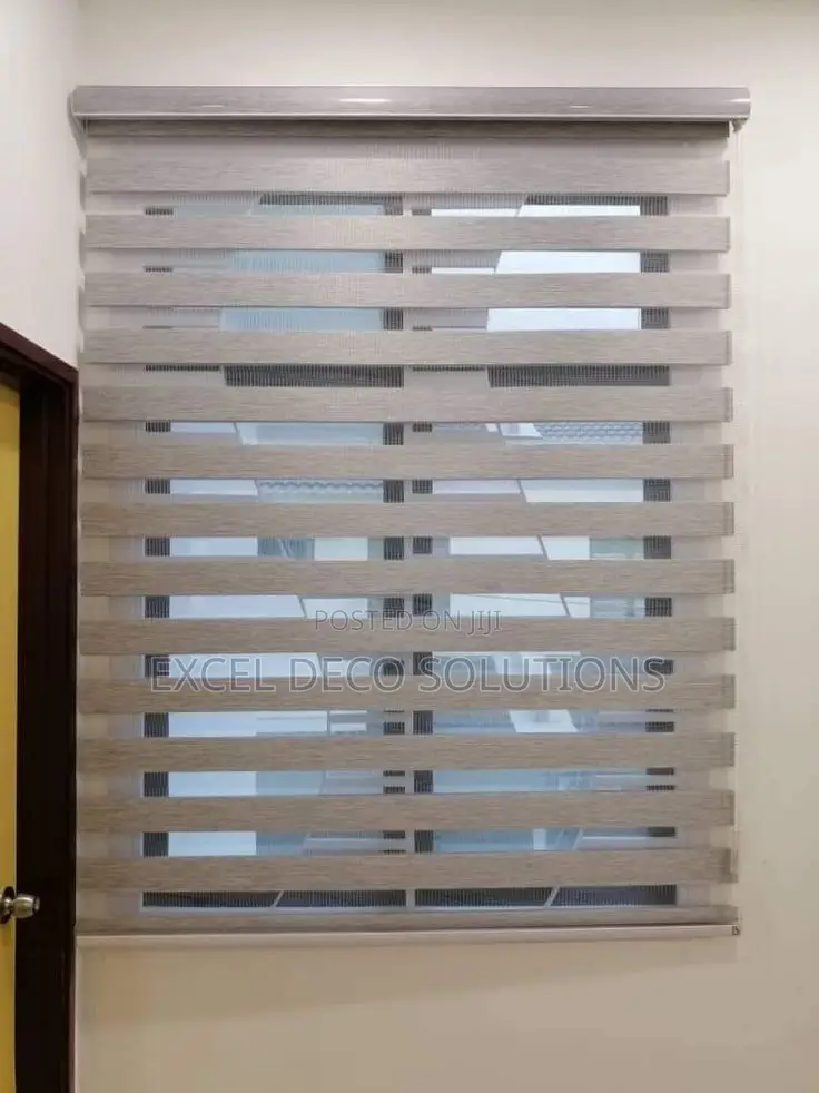 Zebra Window Blinds – Custom Double Layer Blinds in Modern Colors
