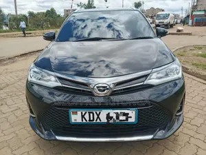 Toyota Corolla Fielder 2019 Black