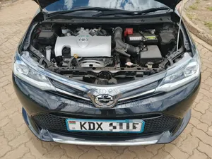 Toyota Corolla Fielder 2019 Black