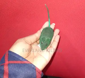 Cat Mouse Green Toy