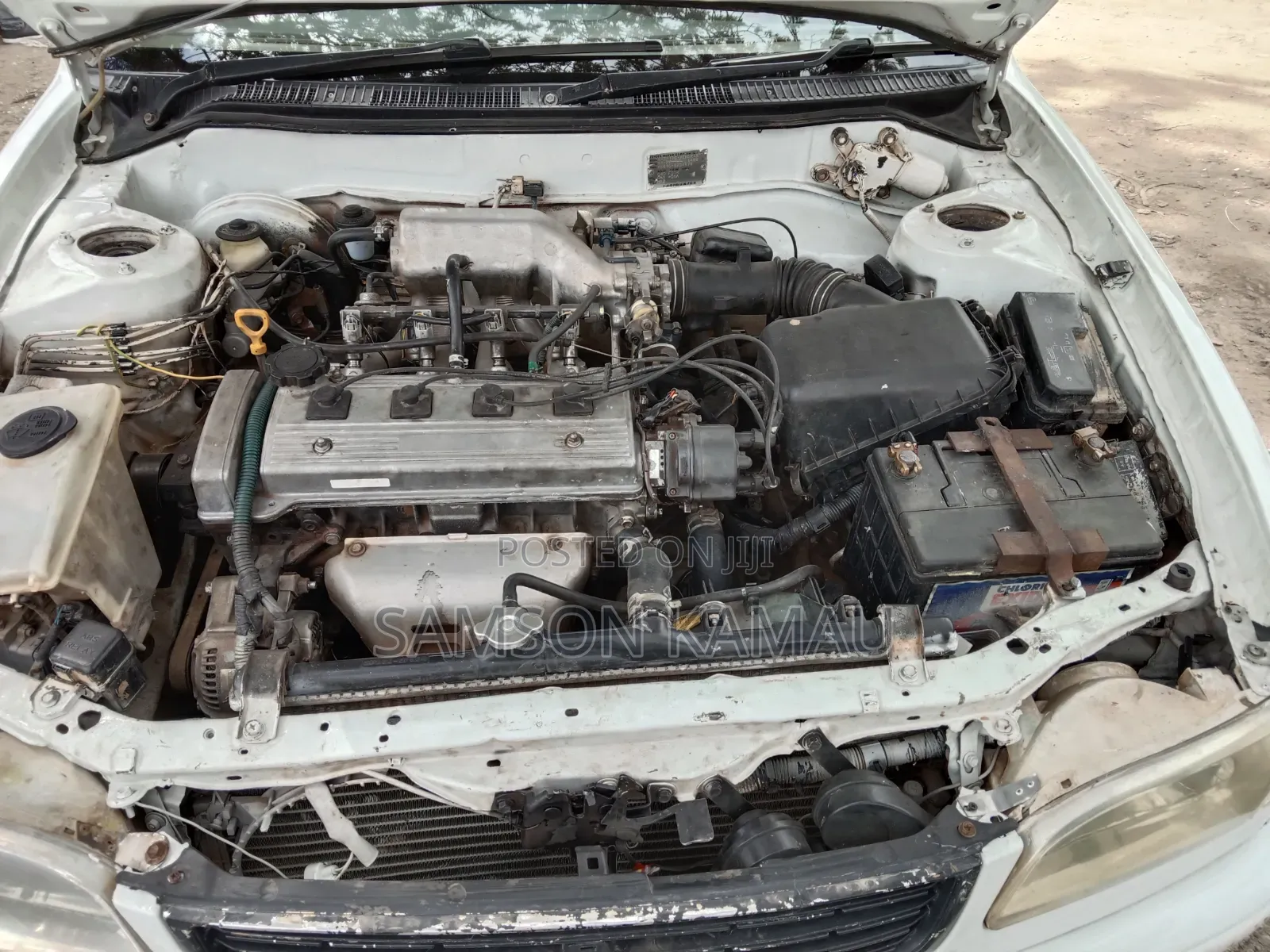 Toyota Corolla 1998 White