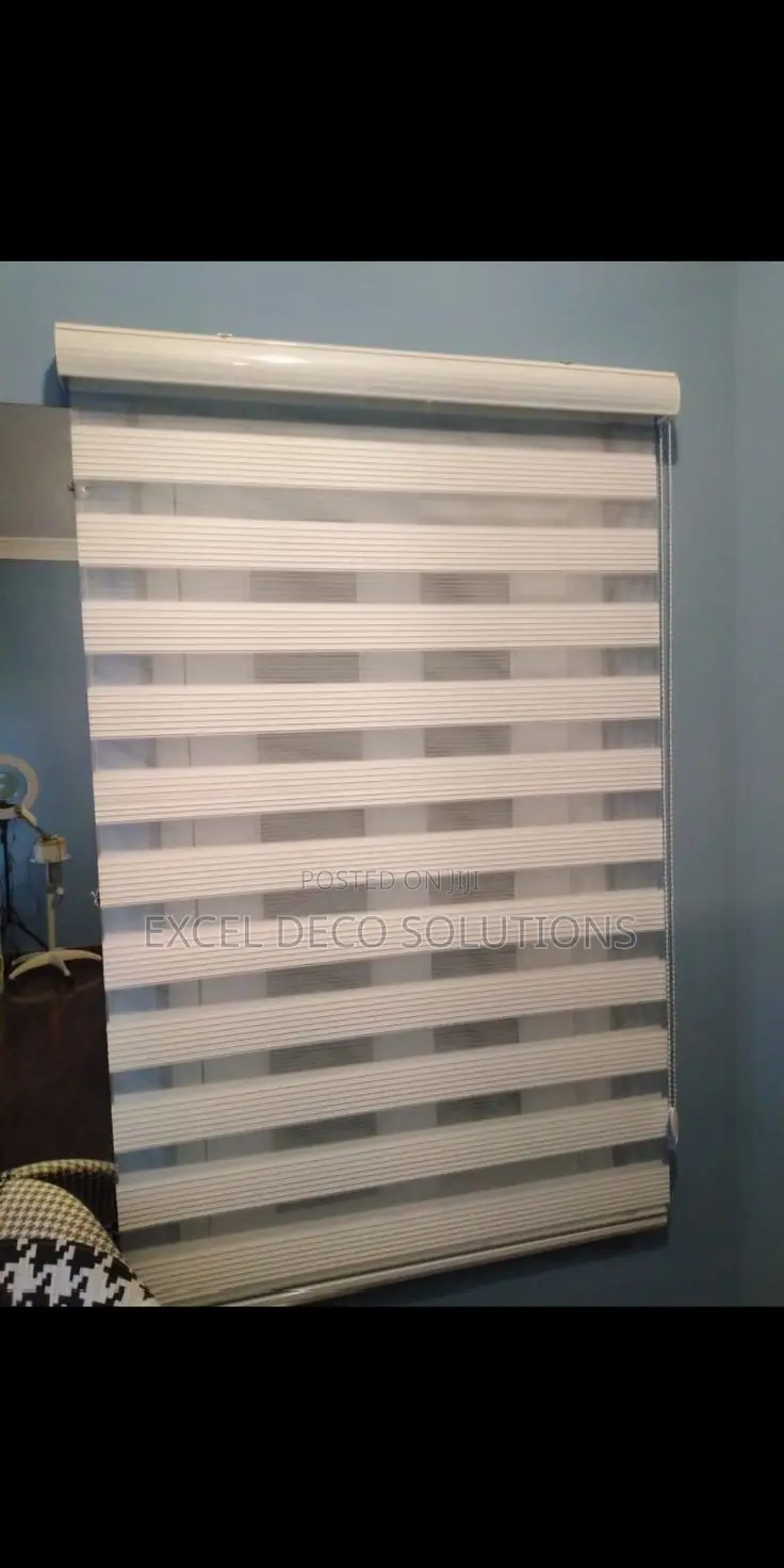 Zebra Window Blinds Custom Double Layer Shades for Executive Interiors