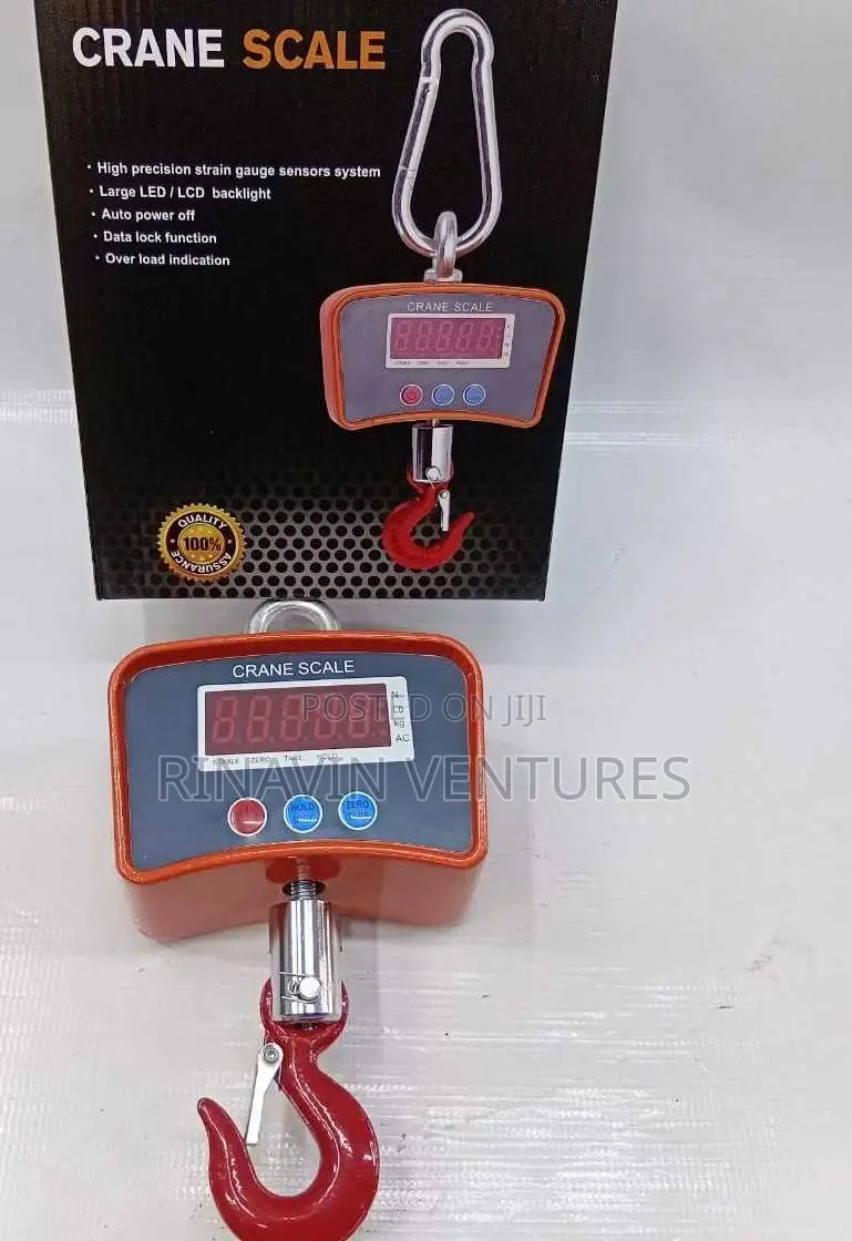 500kg Digital Crane Scale