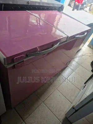 Double Door Freezer 450l