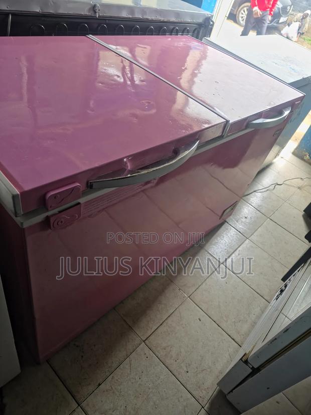 Double Door Freezer 450l