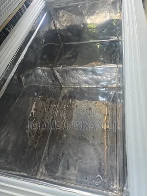 Double Door Freezer 450l